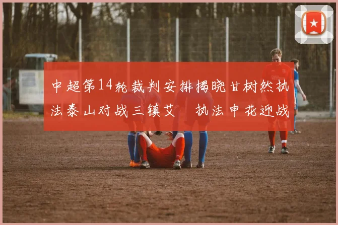 中超第14轮裁判安排揭晓甘树然执法泰山对战三镇艾堃执法申花迎战新鹏城