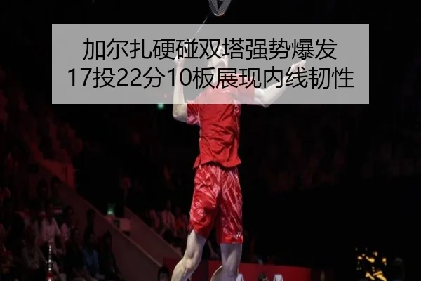 加尔扎硬碰双塔强势爆发 17投22分10板展现内线韧性